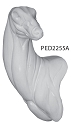 PED2255A